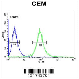anti-CD46 Molecule, Complement Regulatory Protein (CD46) (C-Term), (AA 317-343) antibody avatar