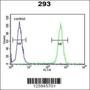 anti-Acetylserotonin O-Methyltransferase (ASMT) (AA 212-241), (Center) antibody avatar