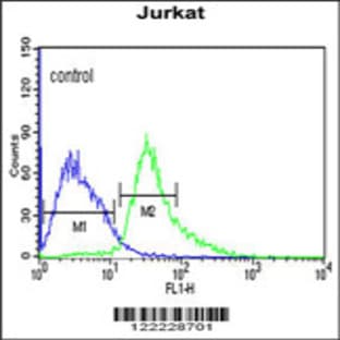 anti-Activating Transcription Factor 1 (AFT1) (C-Term), (AA 193-219) antibody avatar