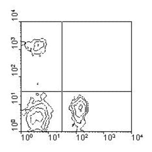 anti-CD4 Molecule (CD4) antibody (FITC) avatar