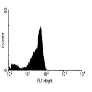 anti-CD2 Molecule (CD2) antibody (FITC) avatar
