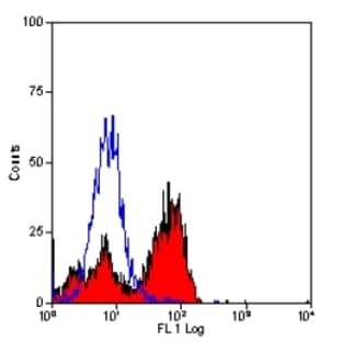 anti-CD244 Molecule, Natural Killer Cell Receptor 2B4 (CD244) antibody avatar