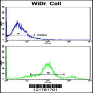 anti-Coiled-Coil alpha-Helical Rod Protein 1 (CCHCR1) (AA 599-627), (Center) antibody avatar