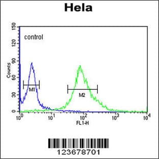 anti-DEAD (Asp-Glu-Ala-Asp) Box Polypeptide 49 (DDX49) (C-Term), (AA 385-413) antibody avatar