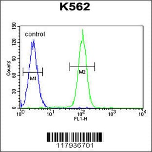 anti-DEAD (Asp-Glu-Ala-Asp) Box Polypeptide 27 (DDX27) (C-Term), (AA 770-796) antibody avatar