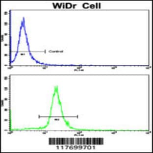 anti-AXL Receptor tyrosine Kinase (AXL) antibody avatar