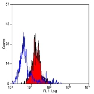 anti-CD200 Receptor 1 (CD200R1) antibody