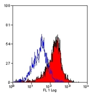 anti-CD200 Receptor 1 (CD200R1) antibody