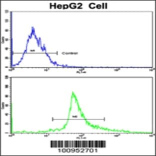 anti-BCL2-Associated X Protein (BAX) (AA 41-76), (BH3 Domain) antibody avatar