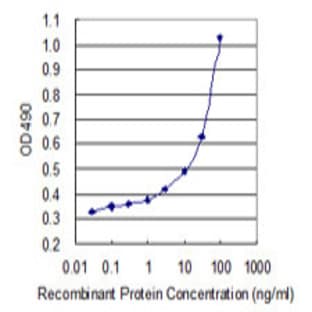 anti-Actin, alpha 2, Smooth Muscle, Aorta (ACTA2) antibody avatar