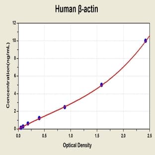 Actin, beta (ACTB) ELISA Kit avatar