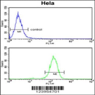 anti-B-Cell CLL/lymphoma 3 (BCL3) (AA 249-277), (Center) antibody avatar
