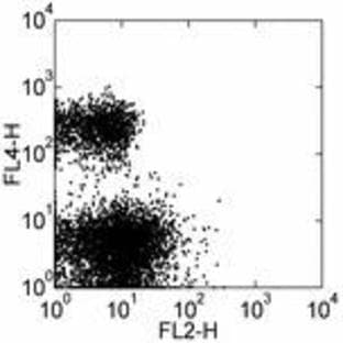anti-CD274 Molecule (CD274) antibody (Biotin) avatar