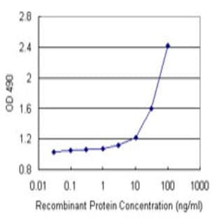 anti-Chemokine (C-C Motif) Ligand 2 (CCL2) antibody avatar
