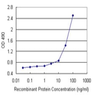 anti-Chemokine (C-C Motif) Ligand 2 (CCL2) antibody avatar