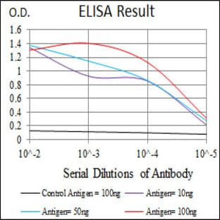 anti-Chemokine (C-C Motif) Ligand 2 (CCL2) antibody avatar