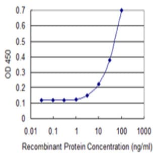 anti-Chemokine (C-C Motif) Ligand 2 (CCL2) (AA 1-99) antibody avatar