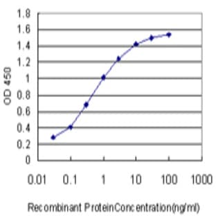 anti-Chemokine (C-X-C Motif) Receptor 5 (CXCR5) (AA 1-56) antibody avatar