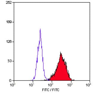 anti-CD90 (THY1) antibody (FITC) avatar