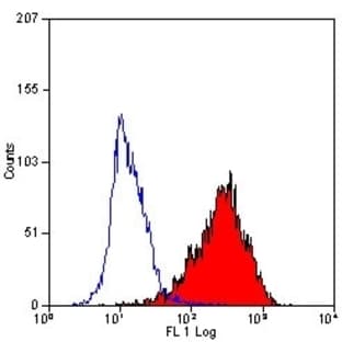 anti-CD90 (THY1) antibody (PE) avatar