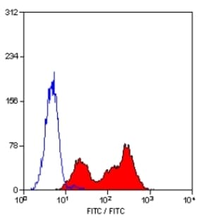 anti-CD177 Molecule (CD177) antibody avatar