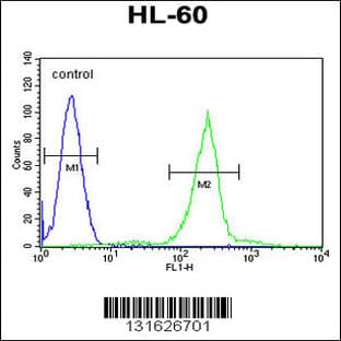 anti-Complement Component 1, Q Subcomponent, C Chain (C1QC) (AA 93-120), (Center) antibody avatar
