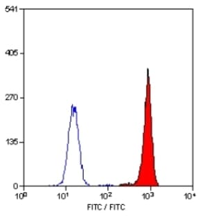 anti-Complement Component 5a Receptor 1 (C5AR1) (AA 1-31), (N-Term) antibody avatar