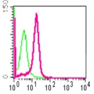 anti-Chemokine (C-C Motif) Receptor 2 (CCR2) (N-Term) antibody avatar