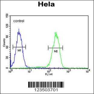 anti-Ubiquitin A-52 Residue Ribosomal Protein Fusion Product 1 (UBA52) (C-Term), (AA 100-128) antibody avatar