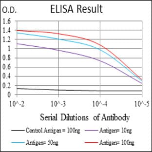 anti-Ubiquitin B (UBB) antibody avatar