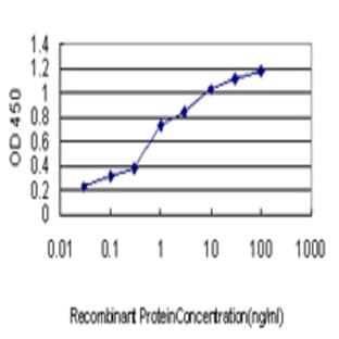 anti-Ubiquitin B (UBB) antibody avatar