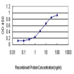 anti-tyrosine 3-Monooxygenase/tryptophan 5-Monooxygenase Activation Protein, gamma Polypeptide (YWHAG) (AA 67-167) antibody