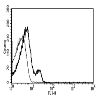 anti-Chemokine (C-X-C Motif) Receptor 4 (CXCR4) antibody avatar