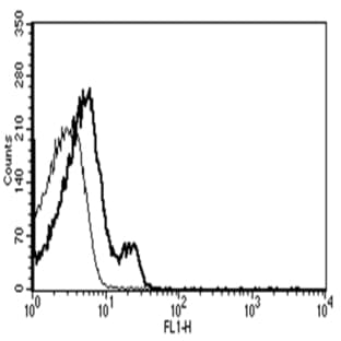 anti-Chemokine (C-X-C Motif) Receptor 4 (CXCR4) antibody avatar