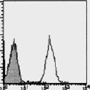 anti-Chemokine (C-X-C Motif) Receptor 4 (CXCR4) (N-Term), (Extracellular Domain) antibody (FITC) avatar