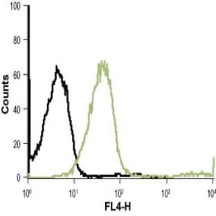 anti-Chemokine (C-X-C Motif) Receptor 4 (CXCR4) (N-Term), (AA 2-15), (Extracellular Loop) antibody avatar