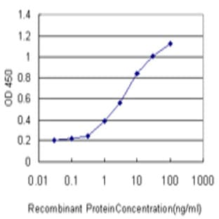 anti-Asparagine-Linked Glycosylation 8, alpha-1,3-Glucosyltransferase Homolog (S. Cerevisiae) (ALG8) (AA 260-335) antibody