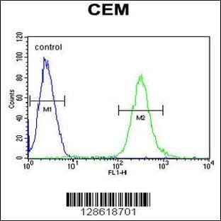 anti-Activating Transcription Factor 7 Interacting Protein 2 (ATF7IP2) (AA 318-347), (Center) antibody avatar
