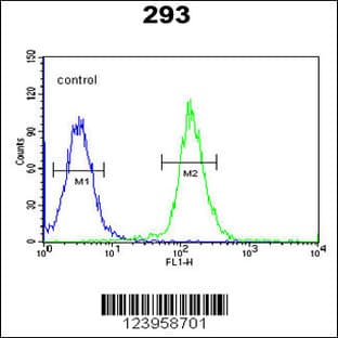 anti-Cell Division Cycle 45 Homolog (S. Cerevisiae) (CDC45) (AA 236-263), (Center) antibody avatar