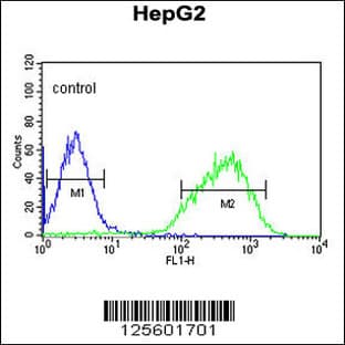 anti-Histone Cluster 1, H2al (HIST1H2AL) (C-Term), (AA 103-130) antibody