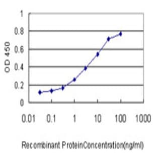 anti-Caspase 1 (CASP1) (AA 1-100) antibody