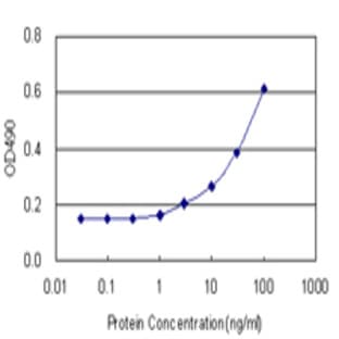 anti-Caspase 3, Apoptosis-Related Cysteine Peptidase (CASP3) antibody avatar