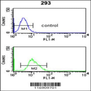 anti-CDC14 Cell Division Cycle 14 Homolog B (S. Cerevisiae) (CDC14B) (AA 188-215), (Center) antibody avatar