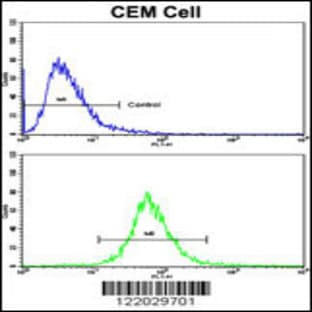 anti-Amine Oxidase, Copper Containing 3 (Vascular Adhesion Protein 1) (AOC3) (AA 613-640), (Center) antibody