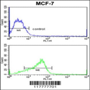 anti-ADAM Metallopeptidase Domain 9 (ADAM9) (C-Term), (AA 704-733) antibody avatar