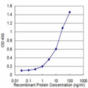 anti-CES2 (AA 514-622) antibody