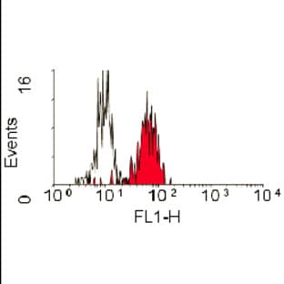 anti-CD84 Molecule (CD84) antibody avatar