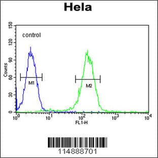 anti-Cyclin H (CCNH) (C-Term), (AA 269-299) antibody avatar