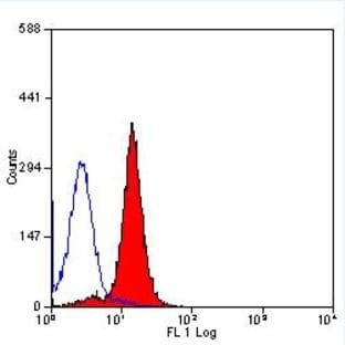 anti-CD1d Molecule (CD1D) antibody avatar