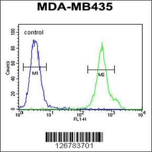 anti-Cluster of Differentiation 1e (CD1e) (AA 184-212), (Center) antibody avatar
